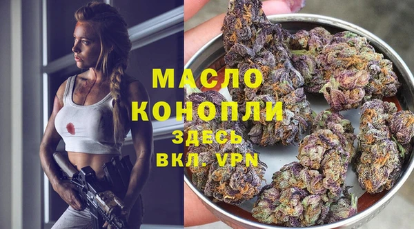 гашик Михайлов