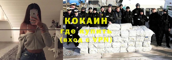 гашик Михайлов