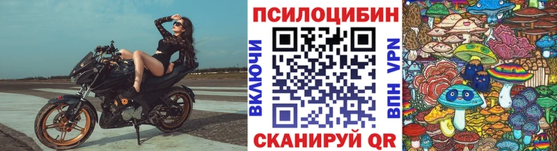 магазин    Мурино  Галлюциногенные грибы GOLDEN TEACHER 