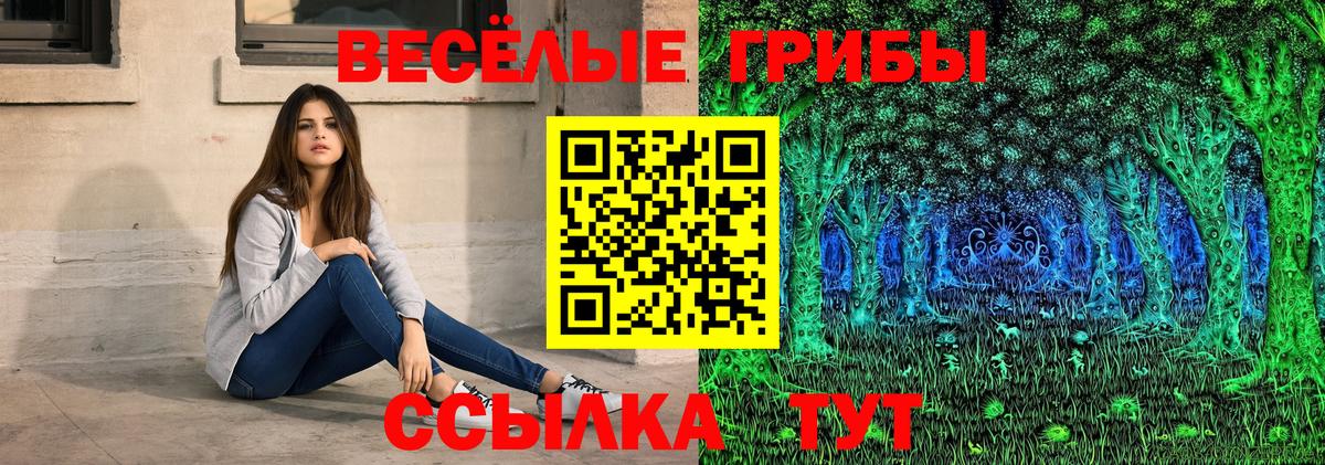 Галлюциногенные грибы GOLDEN TEACHER  Мурино  наркошоп  Псилоцибиновые грибы Psilocybe 