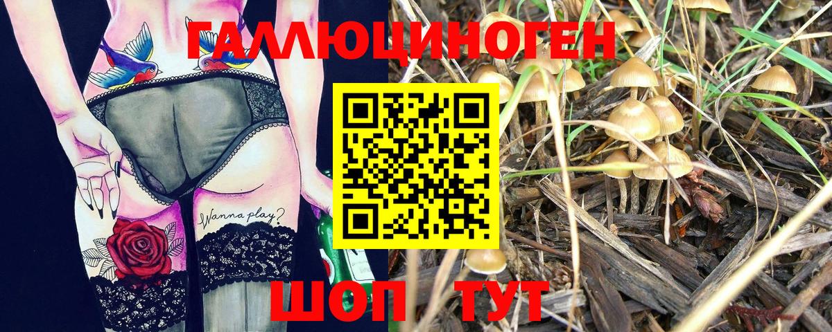 Галлюциногенные грибы ЛСД  Вход с VPN  Мурино 