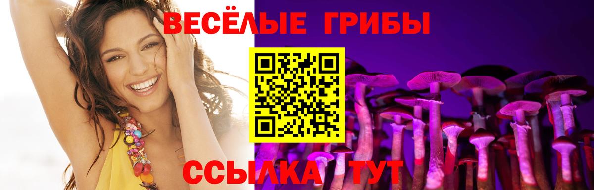 Псилоцибиновые грибы мухоморы Мурино